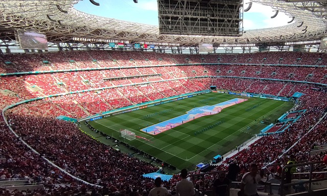 罗马诺的报